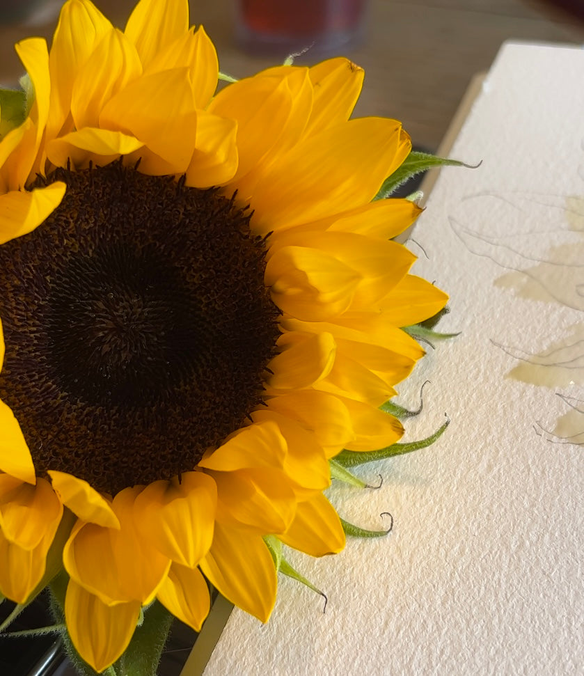 Sunflowers turn toward the Sun. Original Watercolor.