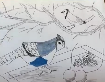 Blue Jays. a Bird Coloring Page